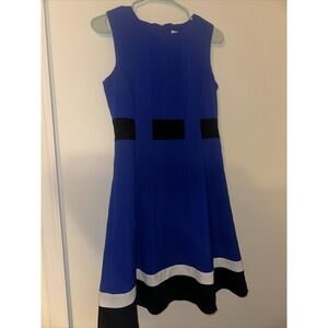 Calvin Klein Fit And Flair Dress Size 4